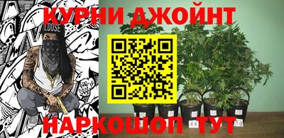 круглые Кимры