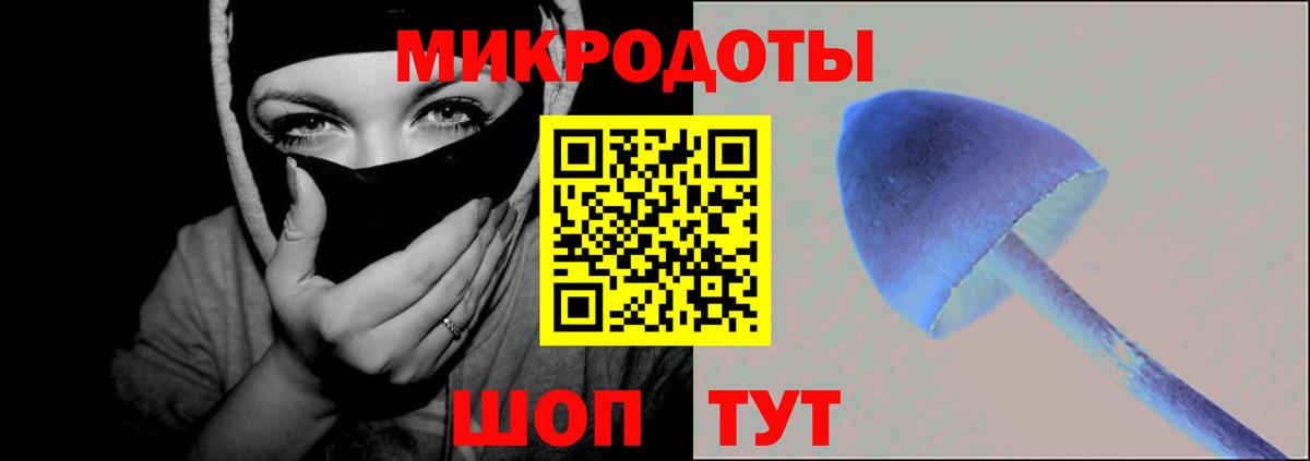 Псилоцибиновые грибы GOLDEN TEACHER  Вход с VPN  Гусев 